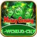2011 world cup Pro