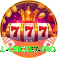 all cricket Ultimate PK v3.0.6