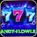 andy flower Plus v4.3.1