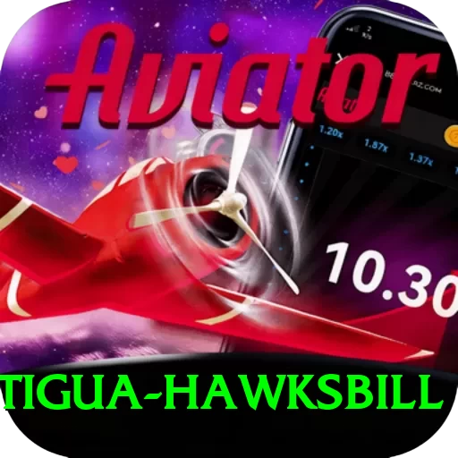 antigua hawksbill Pro Max v1.3.0 - 2
