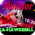 antigua hawksbill Pro Max v1.3.0