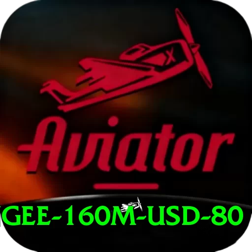 bungee 160m usd 80 Plus Edition v3.4.1 - 2