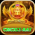 cricket bat Max v4.7.9