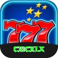 crickex Max vv4.8.3