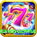david gower Turbo v3.3.6