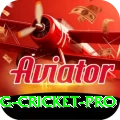 eng cricket Game Prime v5.4.7