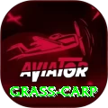 grass carp Pro Max v4.8.9