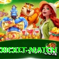 india cricket match Elite Pro v5.5.4