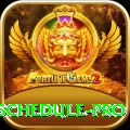 india next cricket match schedule App Premium v5.1.6