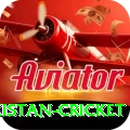 india pakistan cricket Max Pro v1.4.1