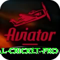 international cricket APK Mega v5.2.1