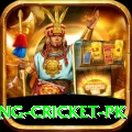 make money betting cricket pk VIP Pro v2.2.5