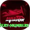 mega millions jackpot lottery numbers Turbo v2.4.3