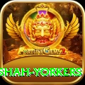 naseem shah yorkers Plus Edition v3.6.3