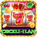 new zealand cricket team Deluxe Edition v4.1.2