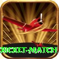 next cricket match Gold Edition v1.0.7