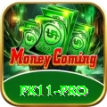 pk11 Live Max v4.0.4