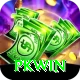 PKWin Elite Pro vv1.4.3