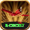 r cricket Pro Edition v5.3.1