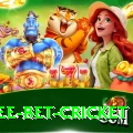 risk free bet cricket Apps (Tools & Injectors) Master v4.4.8