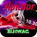 sehwag Elite Pro v5.8.1