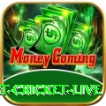 smart cricket live Pro