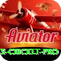 sports cricket Prime Slots