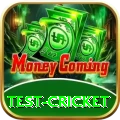 test cricket Turbo v5.7.1