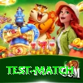 test match Premium Edition v5.7.2