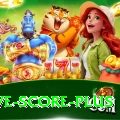 tnpl live score Royal - Free Download