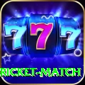 to day cricket match Elite v3.3.6